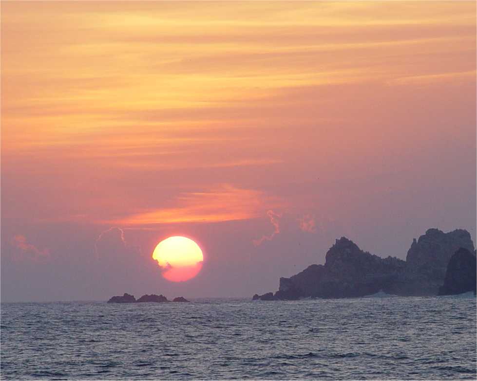 View6.jpg (45322 bytes)